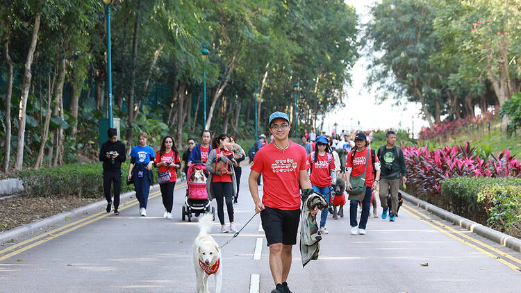 spca dogathon