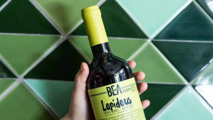 A hand holding a wine bottle with a label saying 'Lapideus'.