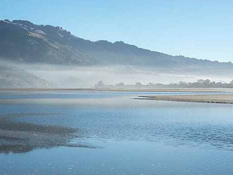 Stinson Beach and Bolinas