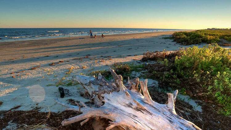 Galveston Island State Park