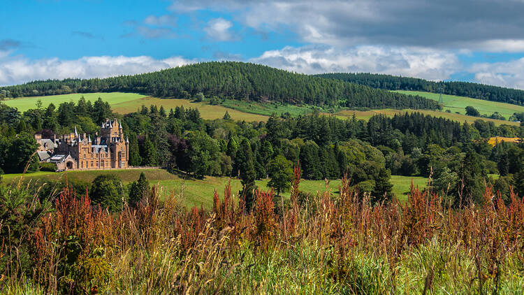 Ardross Castle