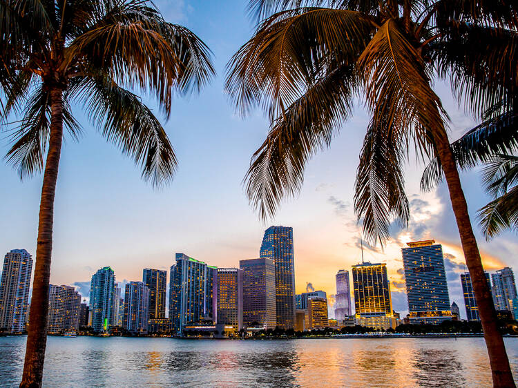 This airline is offering a record number of flights to Florida this winter