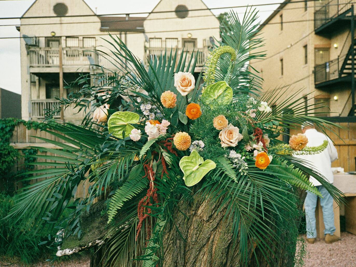 24 Chicago Flower Shops For Blooms