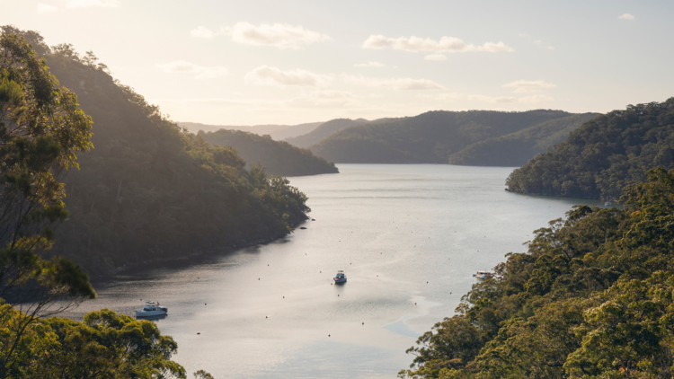 America Bay at Ku-ring-gai Chase National Park