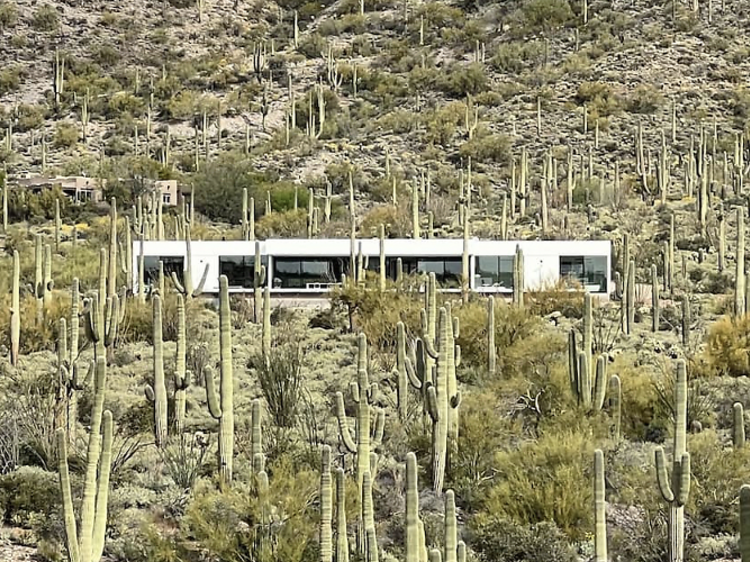 The contemporary cacti studio in Cave Creek