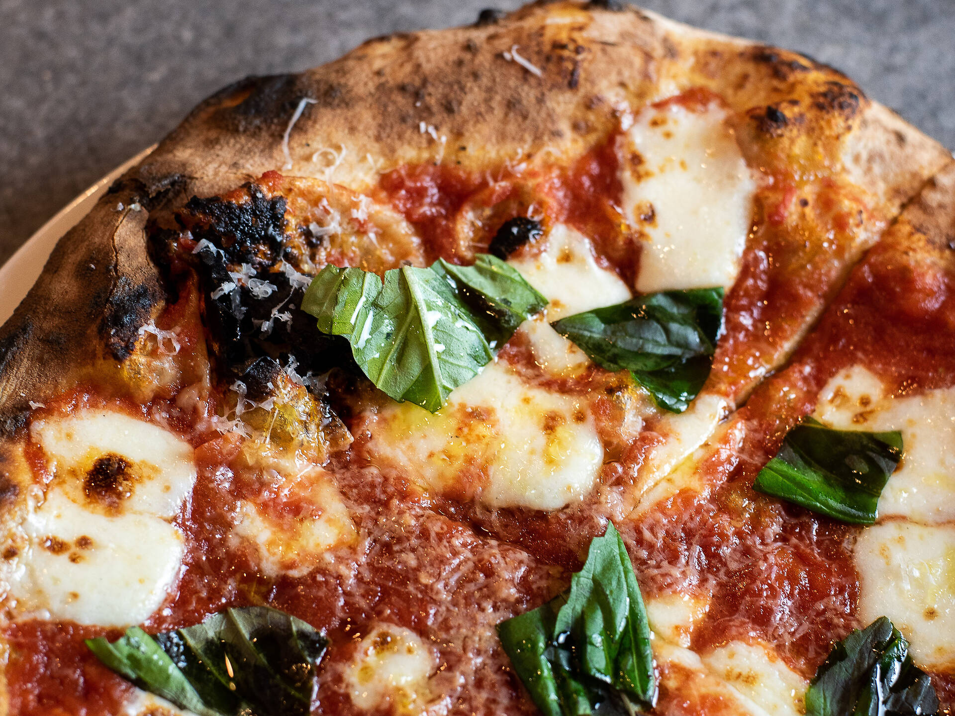 20 Best Pizza Spots in Boston For Delicious Slices And Pies