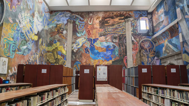 Biblioteca Miguel Lerdo (Foto: Alejandra Carbajal)