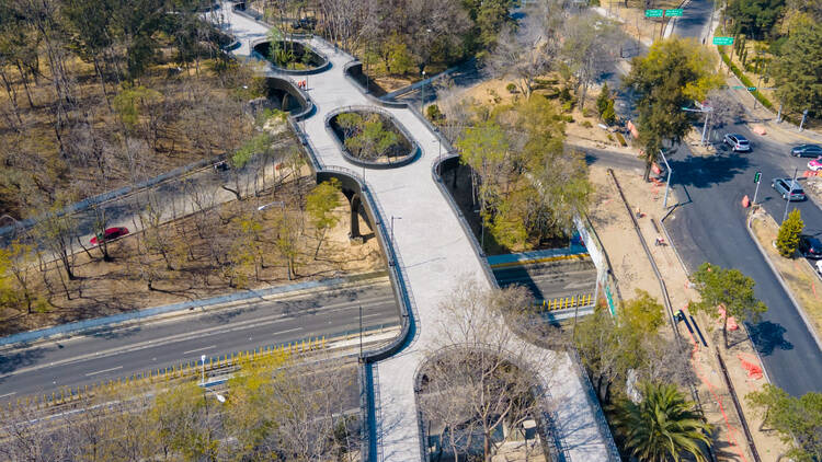 Calzada flotante Bosque de Chapultepec CDMX