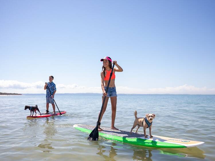 Day trip to Bribie Island