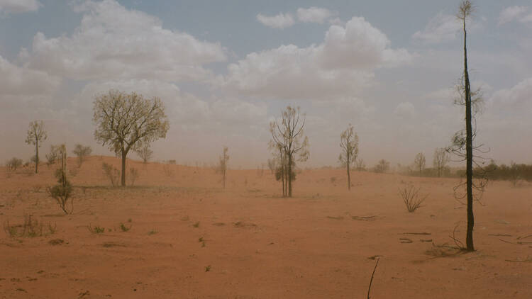 picture of the australian outback