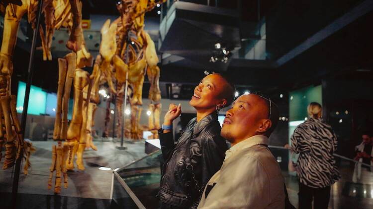 Nighttime museum goers looking at a dinosaur skeleton