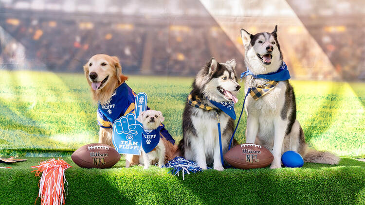 Puppy Bowl Pup Rally