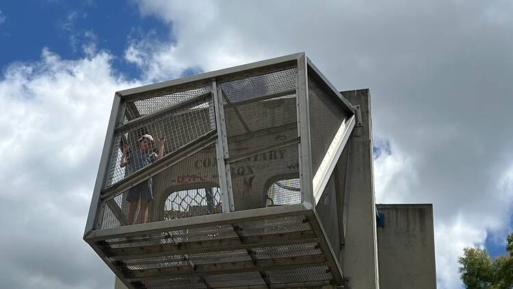 A child in a high steel box