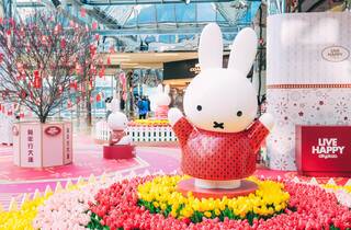 Cityplaza x Miffy 'The Year of Blossoms' | Things to do in Hong Kong