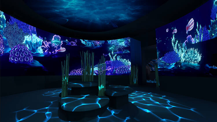 A dark room with glowing projections of an underwater world.