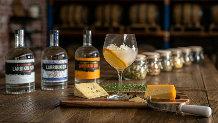 A setup for a gin tasting session including three bottles, a gin and tonic, and a cheese board.