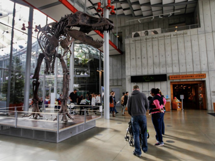 California Academy of Sciences