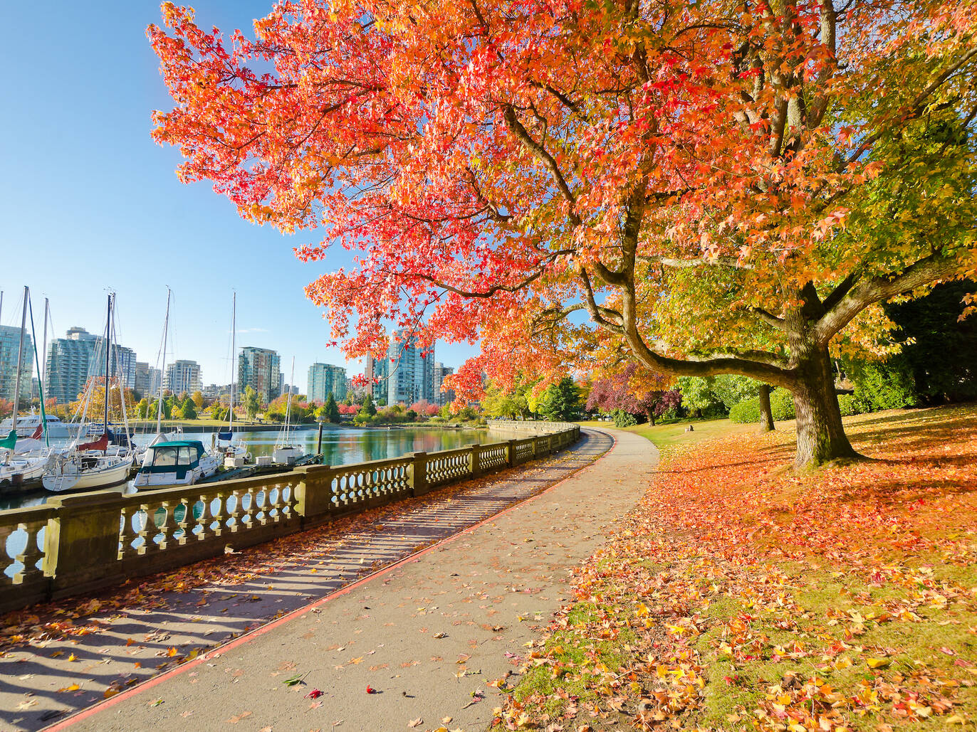 THINGS TO DO IN VANCOUVER BRITISH COLUMBIA visual data 7