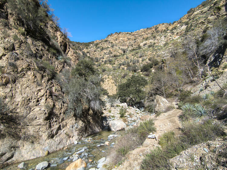 Michaels - Canyon Trails