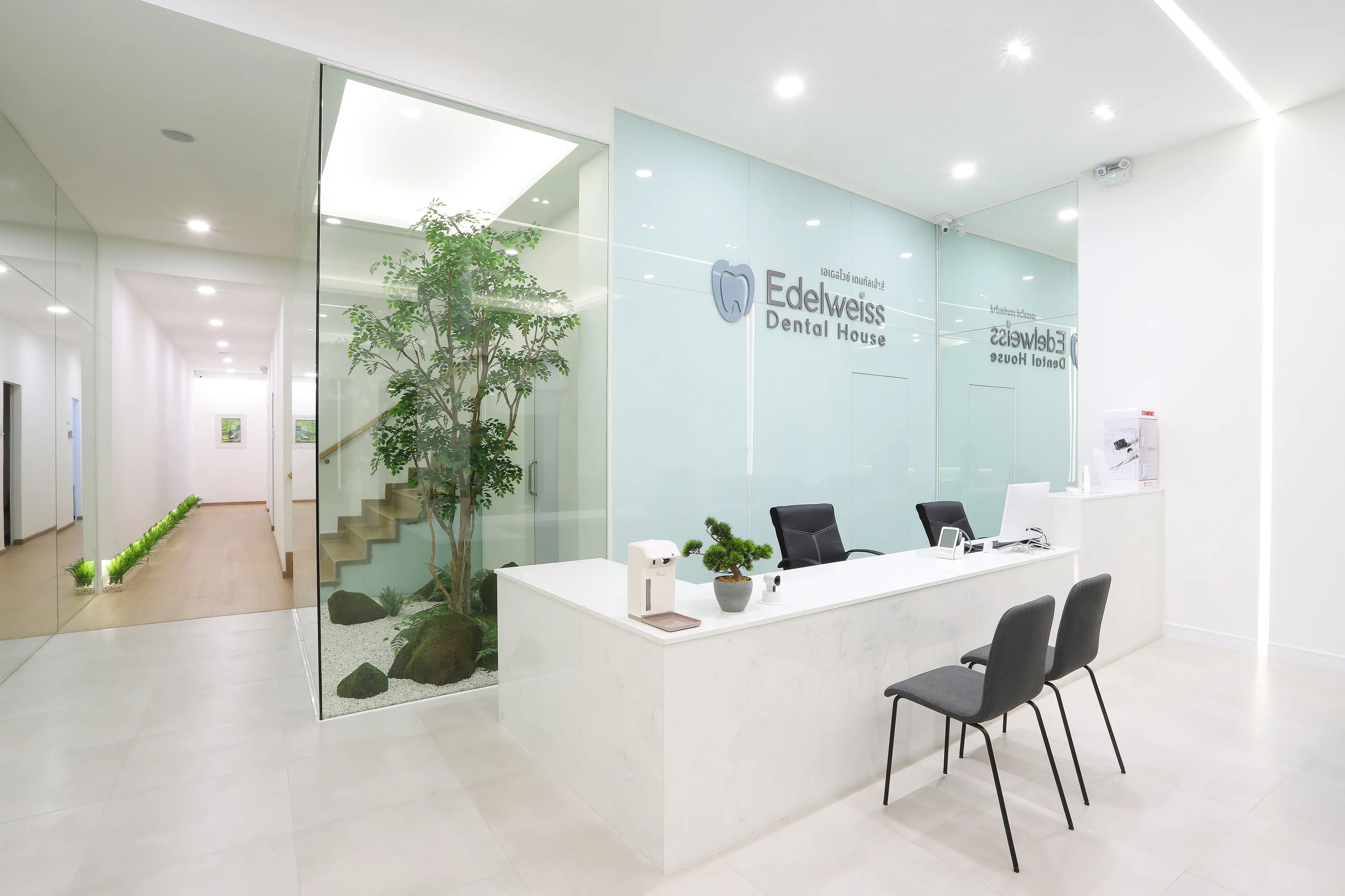 Edelweiss Dental House
