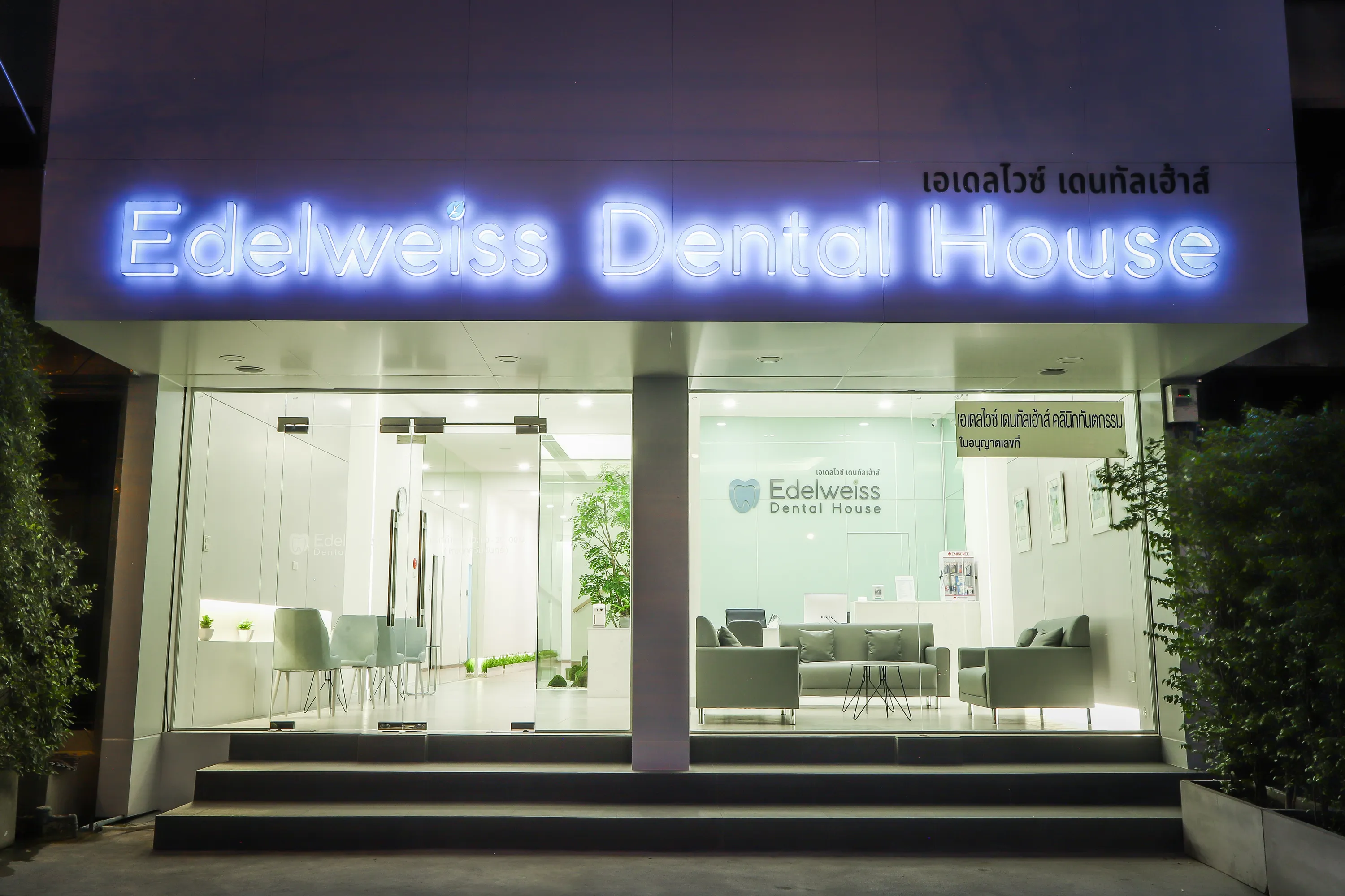 Edelweiss Dental House