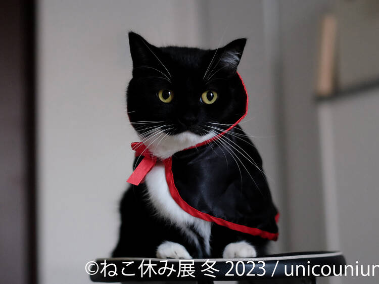 ねこ休み展 冬 2023