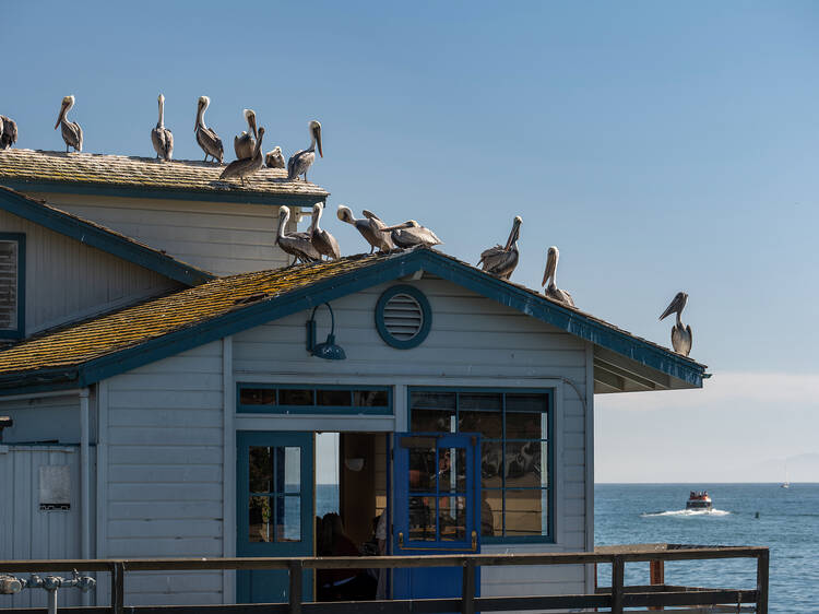 Stearns Wharf