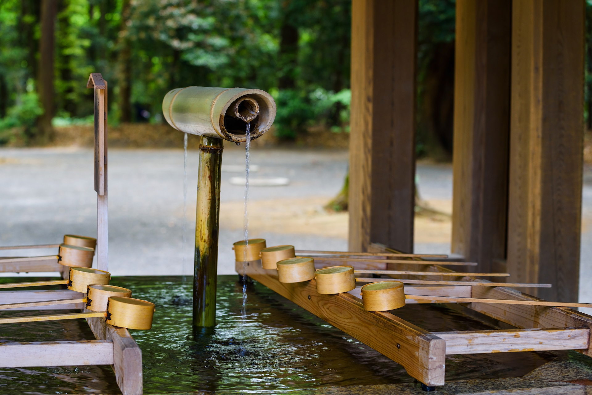 Meiji Shrine water purification