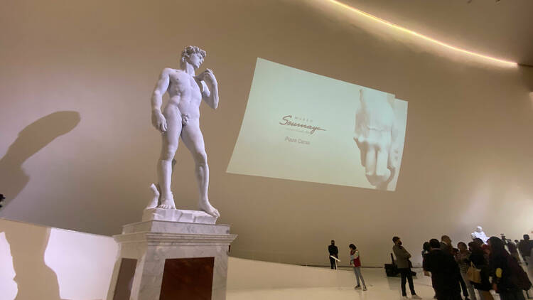 David en el Soumaya