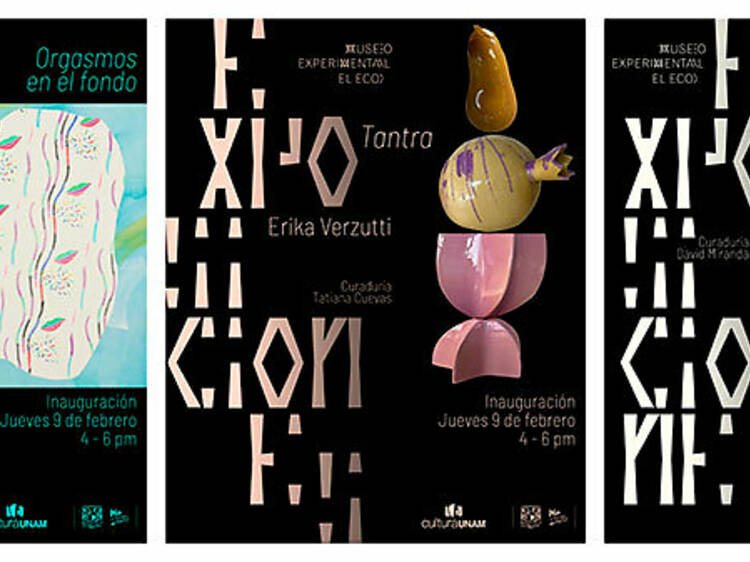 Tantra y Orgasmos en el Fondo en el Museo Experimental Eco