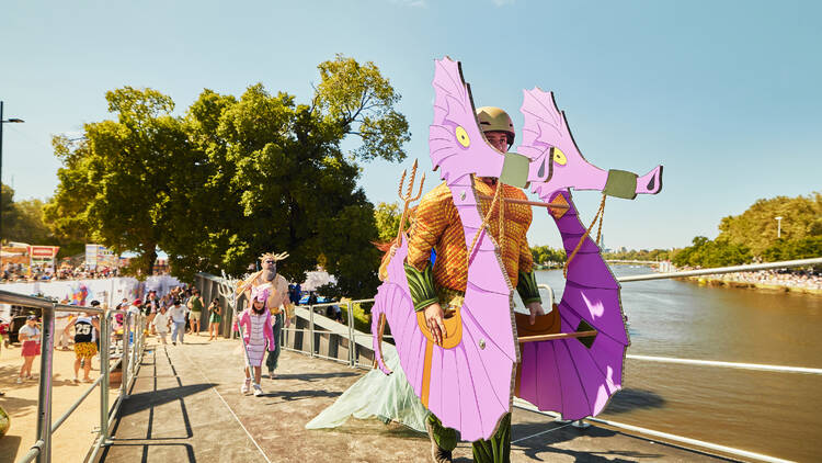 A person in a seahorse flying device.