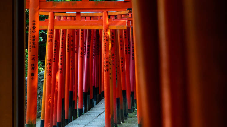Red torii gates at Nezu Shrine in Yanaka