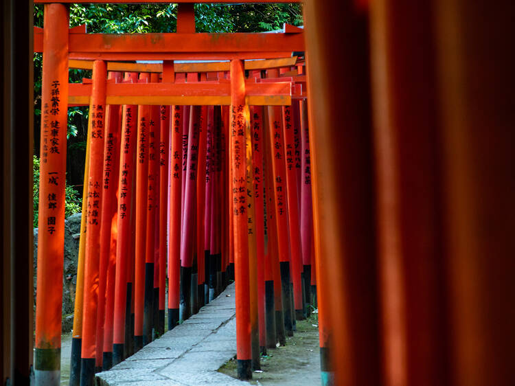 6 tried and tested tips on how best to avoid crowds in Tokyo