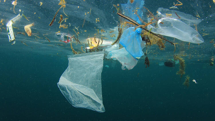 A bunch of rubbish floating in the ocean.