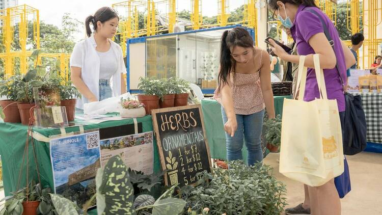 City Sprouts Farmers Market