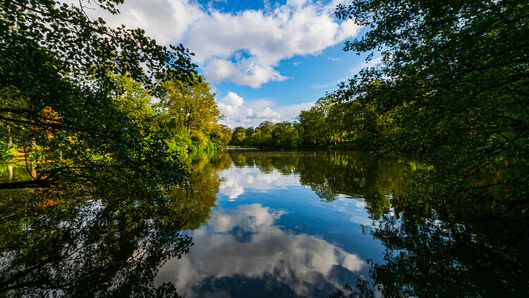 See the inspiration for ‘Lord of the Rings’ at Moseley Bog