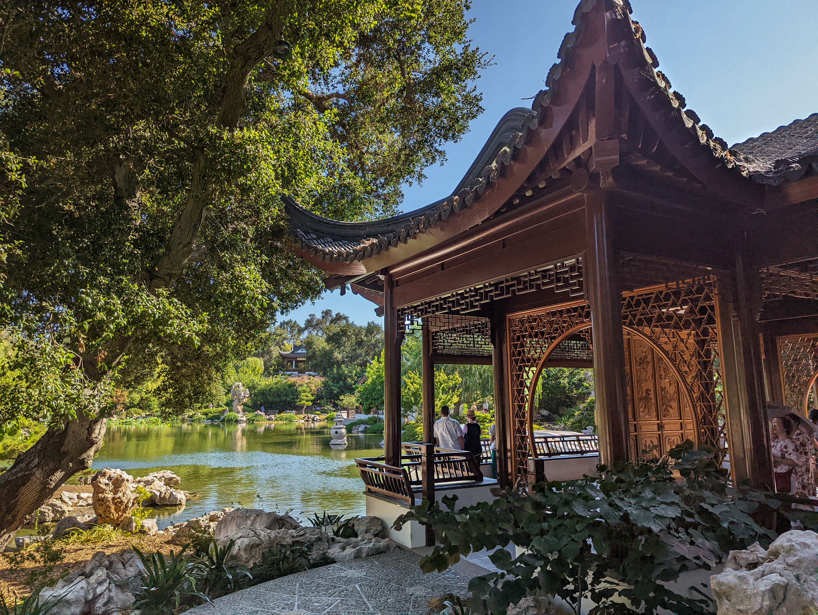 Earth Day Native Blooms Display - Descanso Gardens