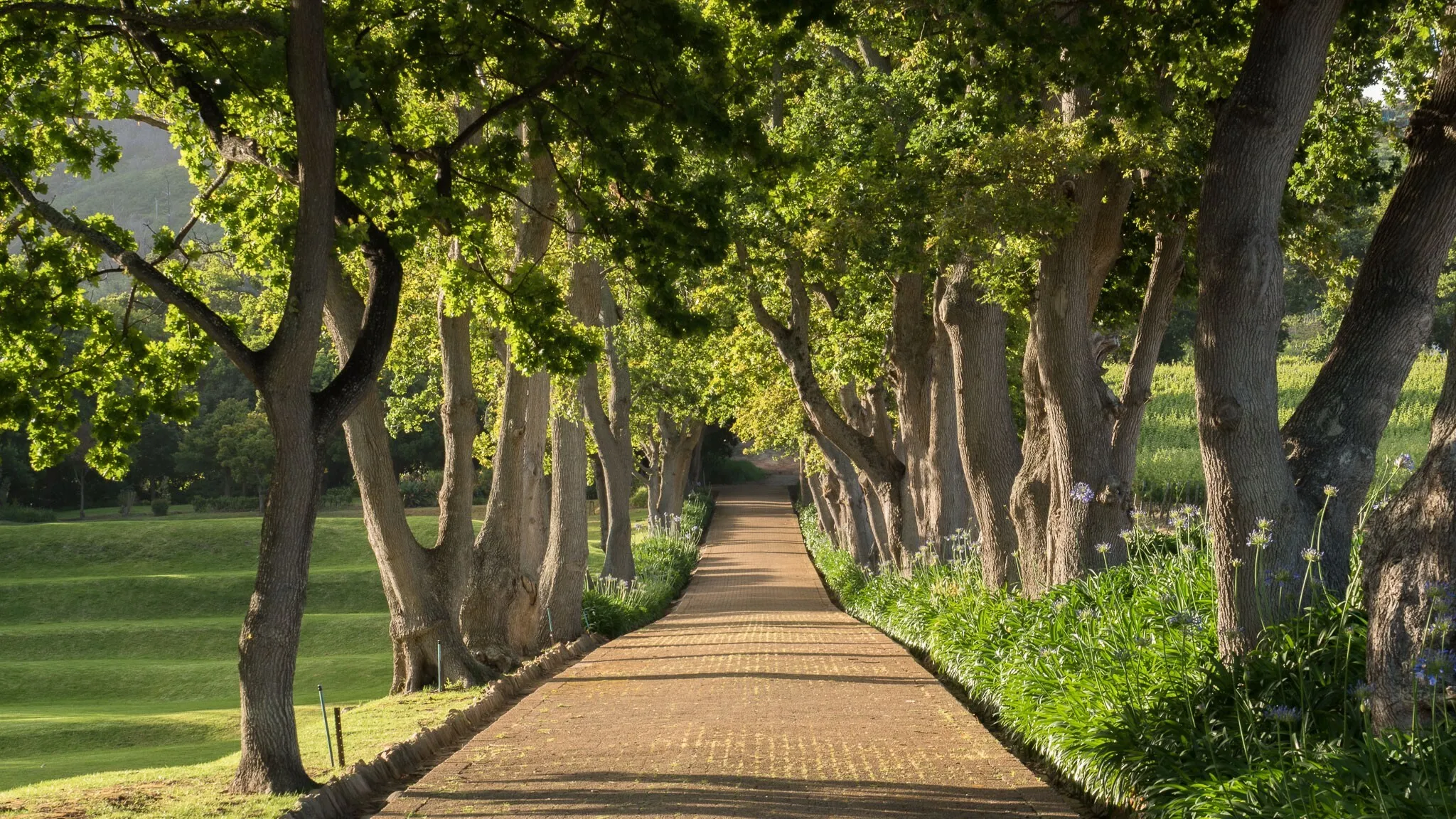 Groot Constantia Wine Estate, Cape Town, South Africa