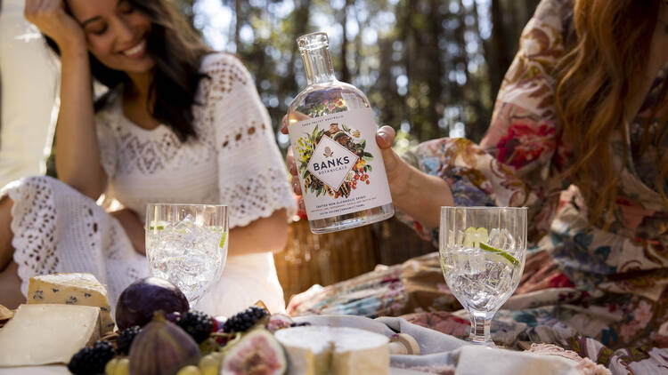 Women having a picnic and drinking Banks Botanical.