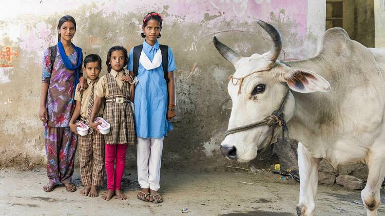 In front of a cement wall there are three children standing next to their mother in a sari with a bull next to them on the street