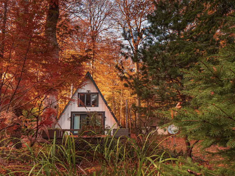 The Maple Haven cabin in South Haven, MI