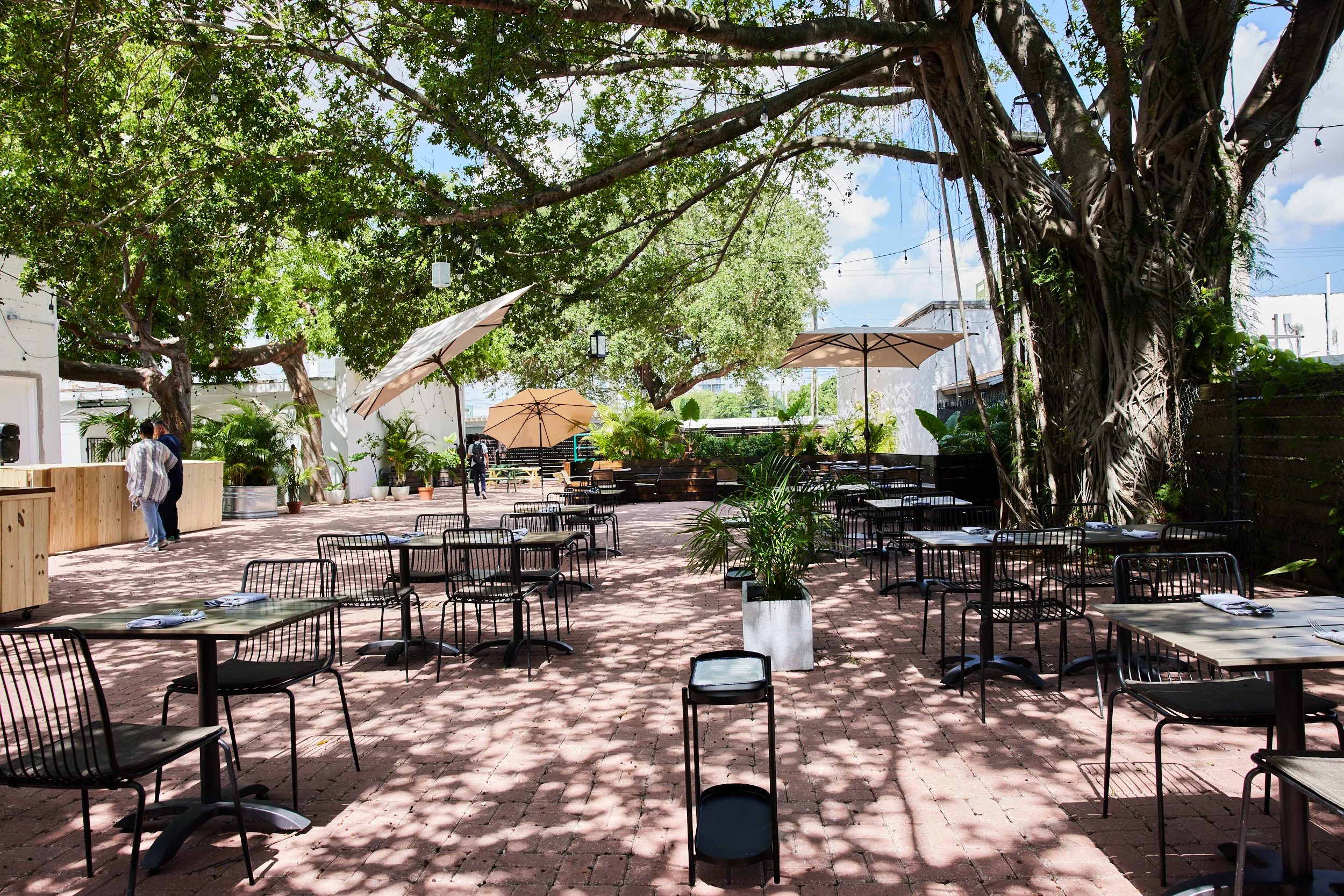 Rosie's: The Backyard