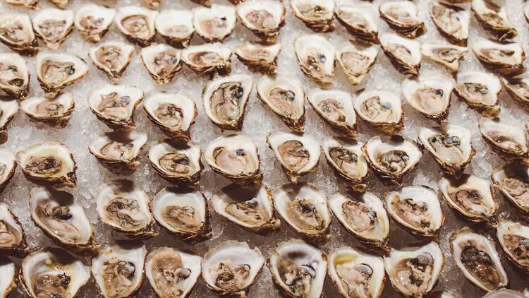 Dozens of oysters on the half shell