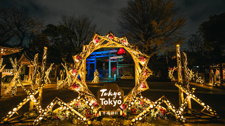 Ushijima Shrine Illumination