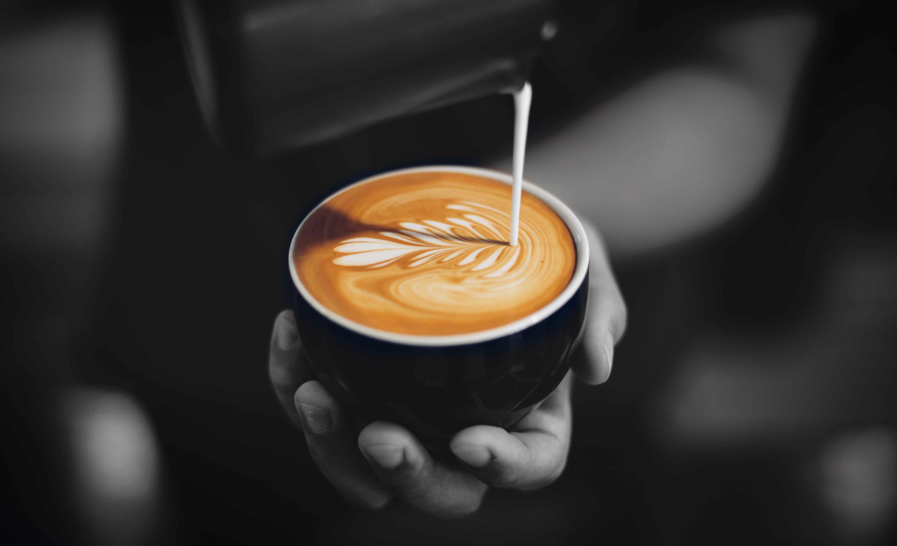 festival internacional del cafe
