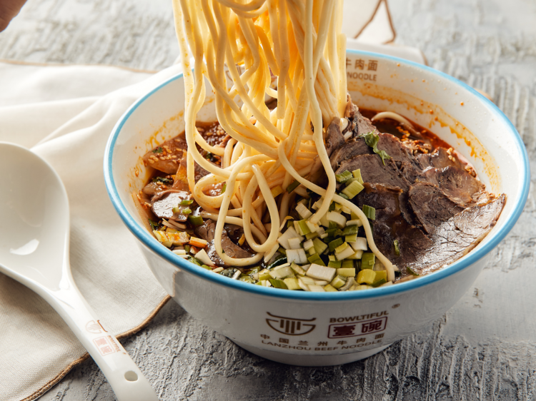 There is a bowl of beef noodles with someone picking up a large portion of noodles