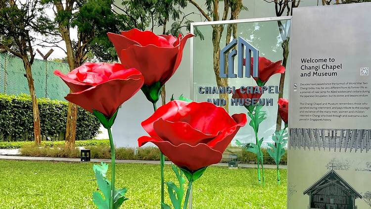 Larger-Than-Life_ Poppies Art Installation by Local Artist Pei-Per Flower