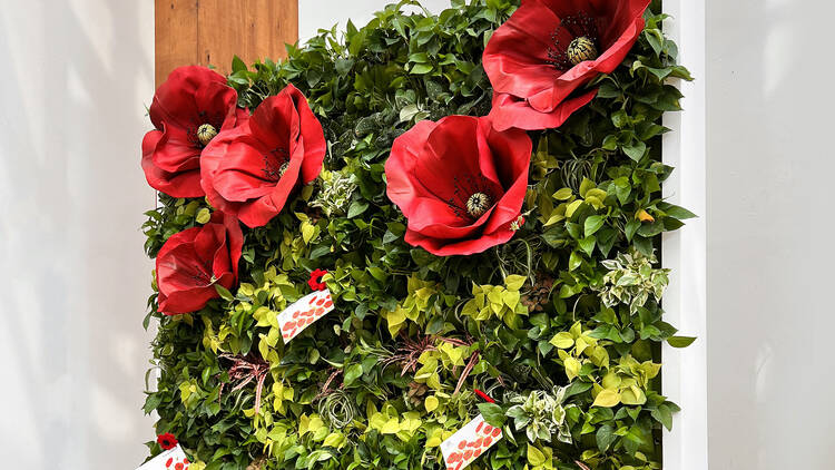 Larger-Than-Life_ Poppies Art Installation by Local Artist Pei-Per Flower