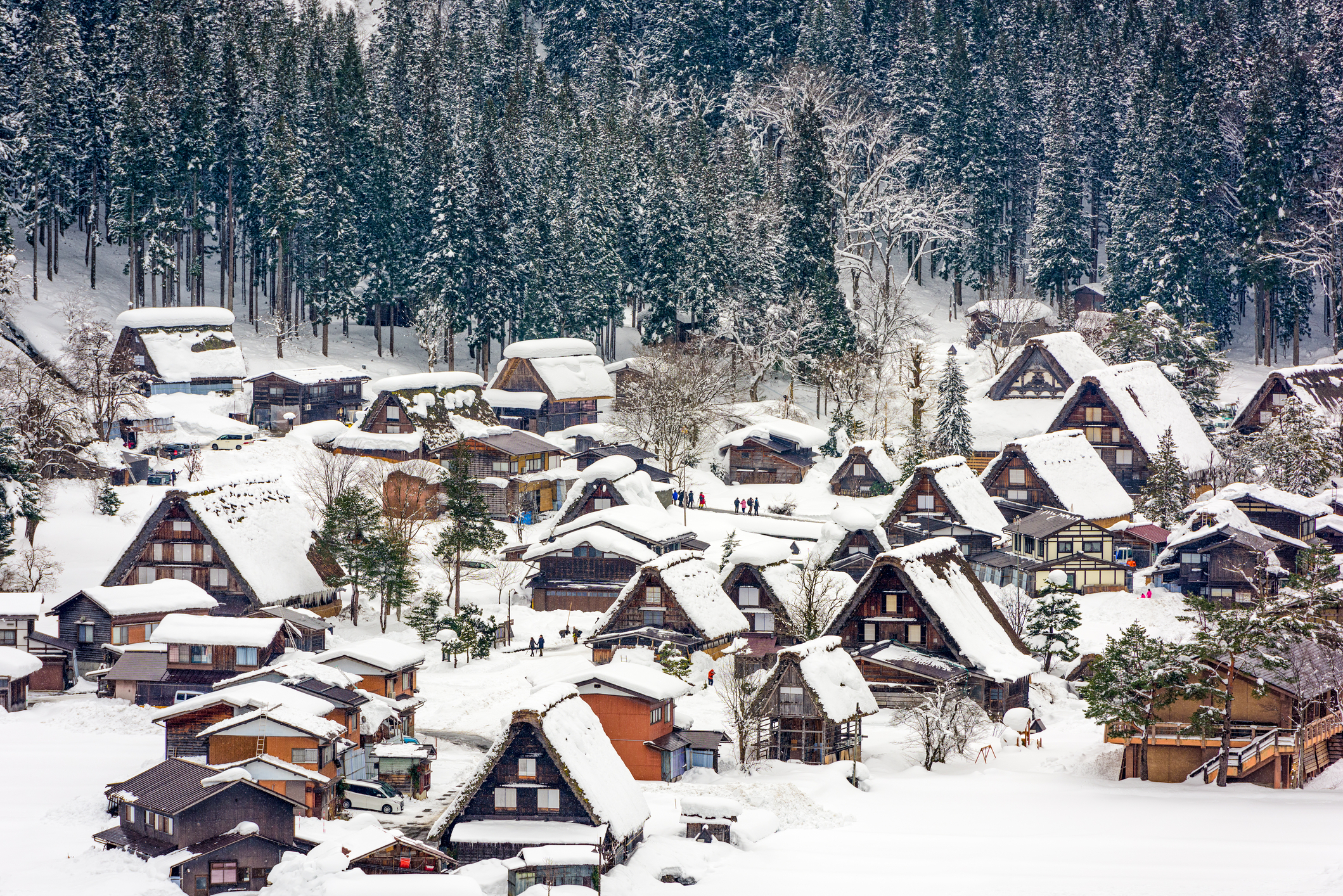 Shirakawa-go Tourist Association