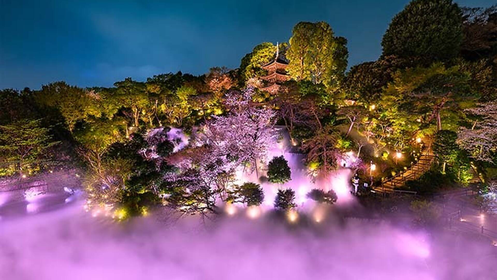 Sea Of Clouds And Sakura At Hotel Chinzanso Tokyo Things To Do In Tokyo